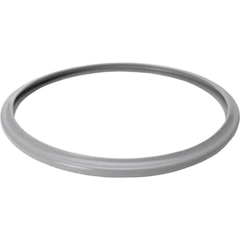 Dichtungsring