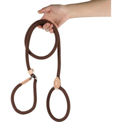 Correa para perros de 150 cm con mecanismo deslizante, apta para cachorros, perros pequeños, medianos y grandes. 14 mm x 150 cm, amarillo claro (1/5)