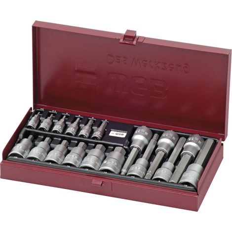 WGB Steckschlüssel-Satz 3910 1/4" und 1/2" Innensechskant 18-teilig