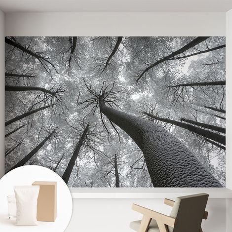 Papier peint intissé avec imprimé pour intérieur moderne application facile a motif - Colle incluse gratuite Paysage hivernal 152x104 cm (1/5)