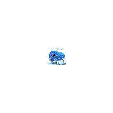 Éponge Filtrante Type A,Cartouche Filtres de Piscine en Mousse RéUtilisable et Lavable,Filtre en Mousse à Cartouche pour Intex Type A Piscine, Aquarium, Spa(2Pièces) (1/4)