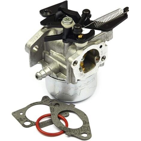 796608 Carburateur Carb pour Briggs Stratton 591137 590948 Moteurs 111000 (1/2)