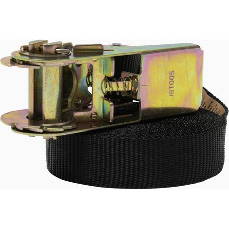 Werka Pro – Sangle à cliquet 5 mètres x 25 mm – Tissage polypropylène robuste – Charge maximale 500 kg – Pour transport d'objets lourds