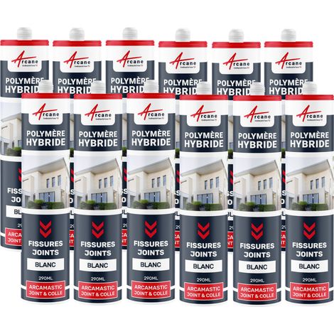 Mastic d'étanchéité, joint extérieur, fissure, béton - 290 ml x 12 Blanc - ARCANE INDUSTRIES (1/5)