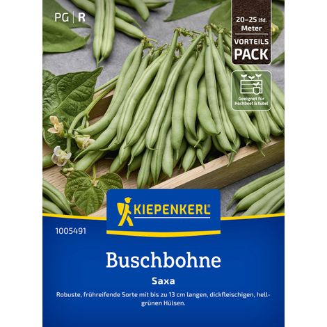 Kiepenkerl Saatgut Buschbohnen Saxa Vorteilspackung für ca. 8 – 12,5 m² (1/2)