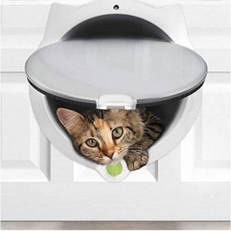 Chatière pour animaux domestiques - Fermeture à 4 voies - Pour portes intérieures et extérieures, mur ou litière cachée - Installa (1/4)