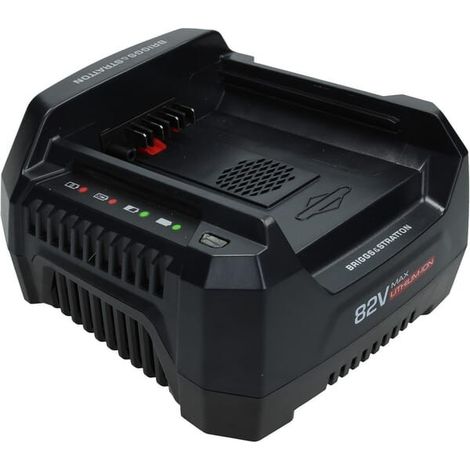 Chargeur ORIGINAL pour toutes les batteries BRIGGS&STRATTON 2 Ah 4 Ah 5 Ah (1/3)