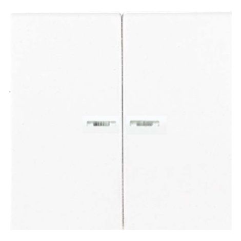 Jung 2 scomparti Placca di copertura Interruttori in serie, Pulsanti in serie Bianco LS995KO5WW