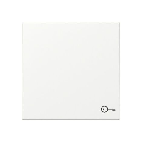 Gira Wippe 328727 Symb.Tür Sys.55 rws m