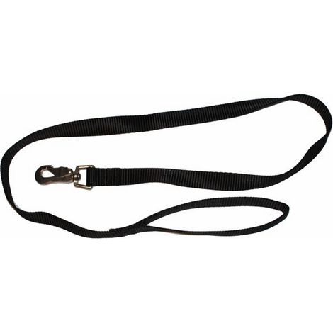 Guinzaglio in Nylon per Cani di Piccola Taglia 100x15 mm colori assortiti (1/2)