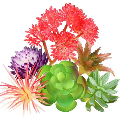 Lot de 6 mini plantes succulentes artificielles pour bricolage, décoration murale ou bureau (à l'exception des pots) (1/5)