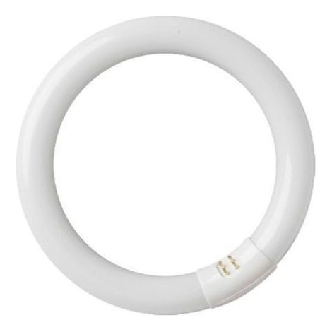 Tubo fluorescente circular 22W T9 6400K GSC 2000589 (1/2)