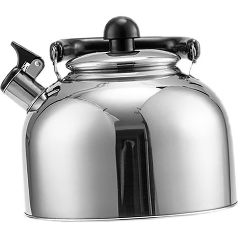 Bouilloire à thé sifflante en inox 5 L - Compatible induction, finition polie miroir - pour la cuisine (1/5)