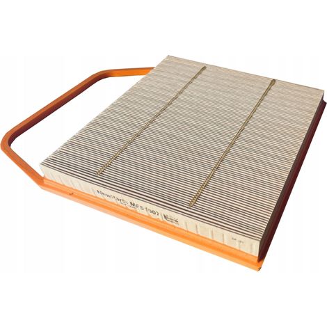 Filtros NewParts MF51007, repuesto de filtro de aire para BMW 30i, Filtron AP0251 (1/5)