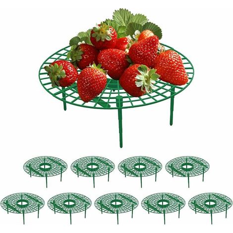 Supports à fraises amovibles en plastique pour plants de fraises, lot de 10 (1/4)