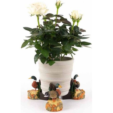 Coloured Mallard Duck Plant Pot Feet - Set of 3