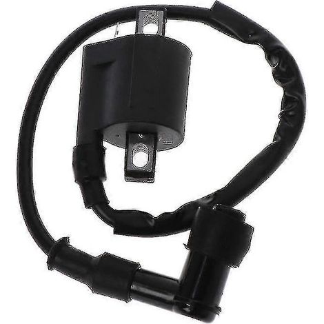 Bobine d'allumage pour quad, scooter, moto et moto tout-terrain 50cc, 150cc, 200cc et 250cc (1/5)