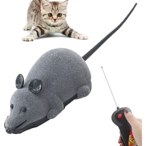 Juguetes de control remoto para gatos, juguetes divertidos para gatos, juguetes de control remoto (1/5)