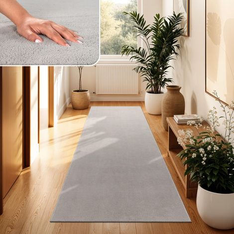 Tapis Salon Moelleux Ultra Doux à Poils Courts - Antidérapant, Lavable, Confort Idéal pour Salon et Chambre, Dimension:60x100 cm, Couleur:Argent (1/5)