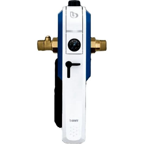 BWT – Filtre à levier E1 HWS – Station d'eau domestique avec régulateur de pression DN25 – Remplacement hygiénique rapide – Conforme HACCP (1/2)
