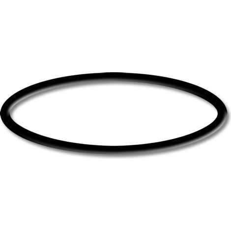 SunSun Pezzo di ricambio: anello O-ring 4 per pompa per piscine HZS-550/750 (1/3)
