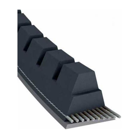 Courroie tondeuse XPZ562 trapézoïdale crantée  9,7 x 562 mm (1/5)