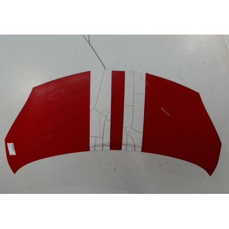 [PRODUIT D'OCCASION] Capot TOYOTA Aygo ♻️ Ref Oe. 533010h010 - Garantie à vie (1/3)