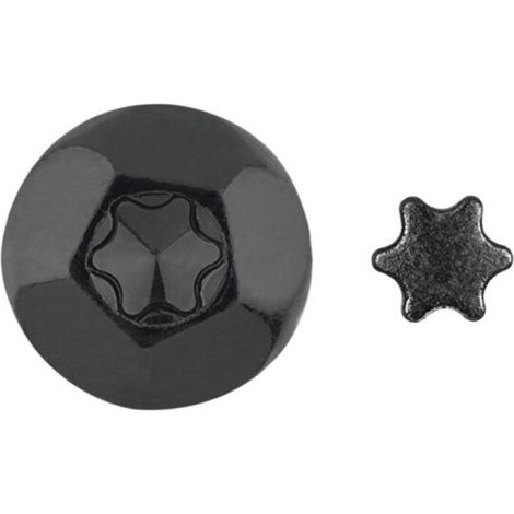 ELEMENT ANTI-INTRUSION TORX T40 Acier zingué noir-1 pièce (1/3)