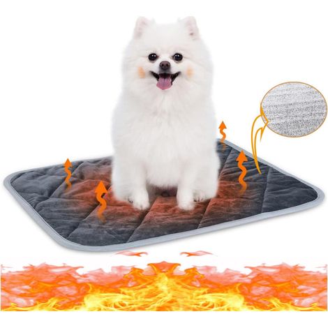 Tapis Auto - chauffant pour chat en chien (1/5)