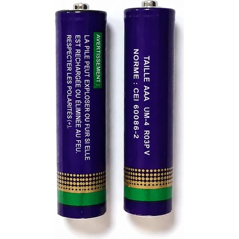 Lot de 2 piles AAA pour thermomètre hygromètre électronique 2 7 0 0.05 50 g – Livraison gratuite