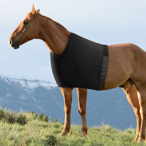 Schulterschutz für Pferde, hochelastische Spandex-Pferdeweste - Scheuerschutz-Latzhose - Schwarz (Größe L) (1/2)