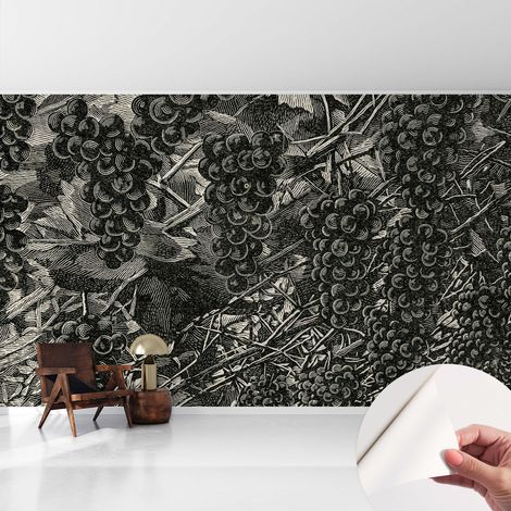 Carta da parati autoadesiva - Fotomurale adesivo - design elegante - stile moderno - Stampa a grappoli d'uva 416x254 cm (1/5)
