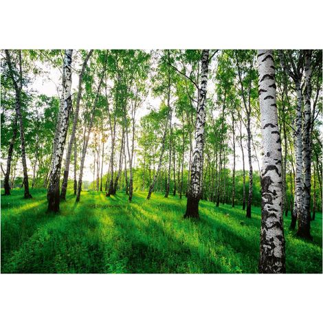 Papier peint 3D forêt de bouleaux décoration murale pour salon salle de bain – 200 x 140 cm Wallarena (1/4)