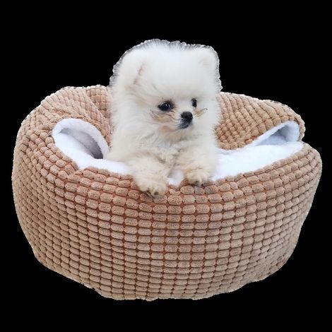 Niche pour animaux de compagnie ultra douce, niche pour chat, couchage profond, coussin pour chiens de petite et moyenne taille, niche ronde d'hiver - Gris moyen (1/4)