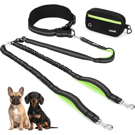 Laisse 2 Chiens, Laisse Chien avec Sac Banane (1/5)