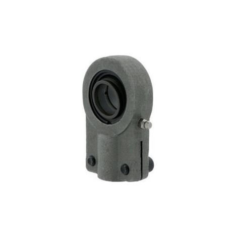 Embouts à rotule SIQG100 ES 100mm SKF