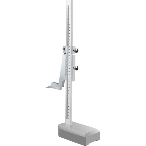 Pied à coulisse d’altitude 0–300 mm en acier inoxydable, avec règle de mesure verticale, 1 pièce