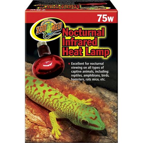 Lampe chauffante infrarouge de nuit 75W