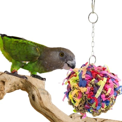Pecking Ball M - per PaPugs di taglia media (1/5)