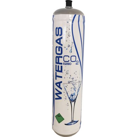 Petite Bouteille De Co2 De Rechange De 850 Grammes Pour Distributeur D'eau Gazeuse (1/3)