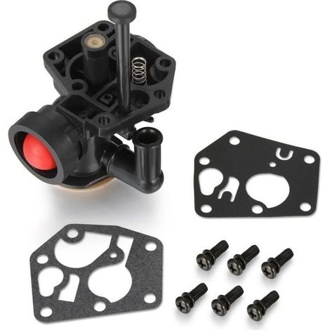 Carburateur pour moteur Briggs & Stratton Sprint Classic 498809 498809A (1/4)