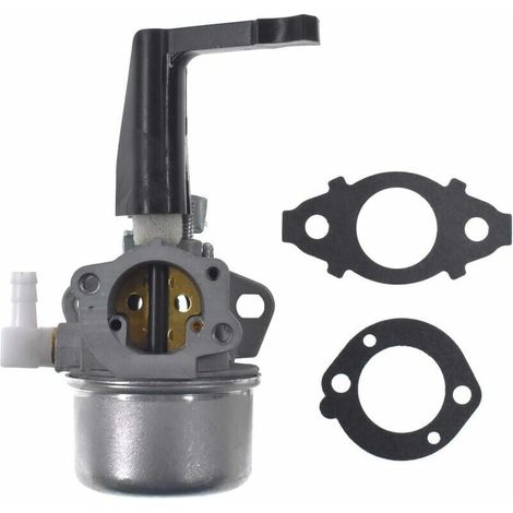 Applicabile al carburatore di ricambio con kit guarnizioni per Briggs & Stratton 696065 110402 (1/5)