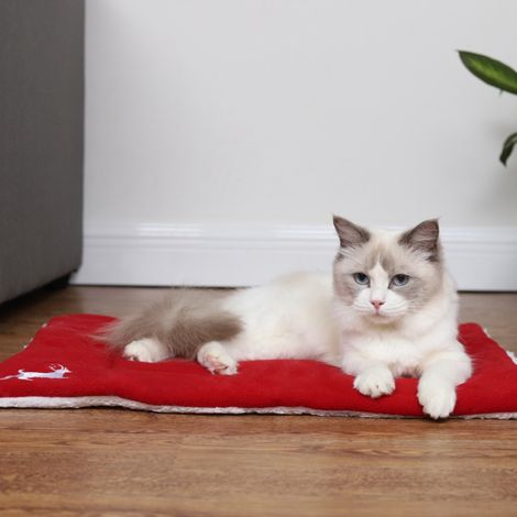 Tapis de couchage moelleux, chaud et épais pour chat ou chien, idéal pour les petites, moyennes et grandes races. Convient également pour la cage ou le couchage. (1/5)