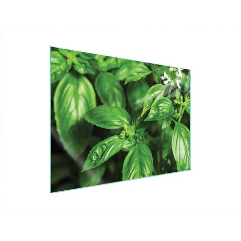PLACA PROTECTORA DE VIDRIO PARA ESTUFA 70x52 BASIL (1/5)