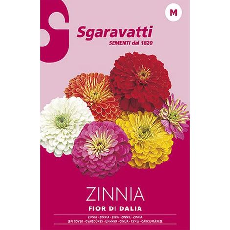 Semi per Prato Universale Zinnia Fior di Dahlia Sgaravatti 20 Pezzi
