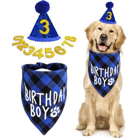 Lot de 10 accessoires de fête d'anniversaire pour chien, chapeau scintillant avec 8 chiffres pailletés (1/5)