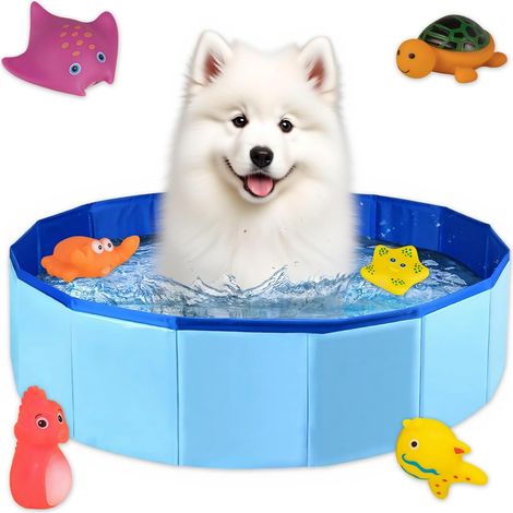 Bain pour chat, 50 × 10 cm petit bain pour chien piscine pliable pour chiens, avec jouets aquatiques piscine bleue pour chats pour le bain des petits chiens et des chats (1/5)
