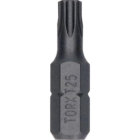 PUNTA, VÁSTAGO, T25 25MM ESCAPE 25 PIEZAS - B 2607002800