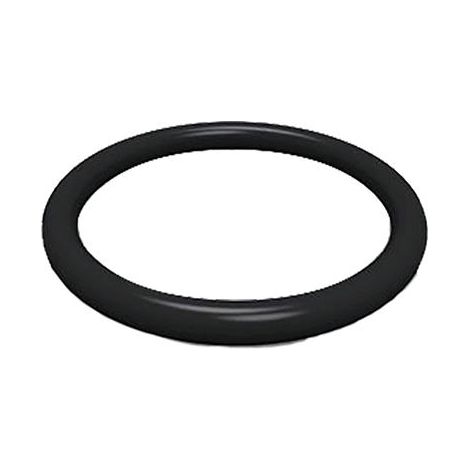 O-Ring Per Niples M20X2