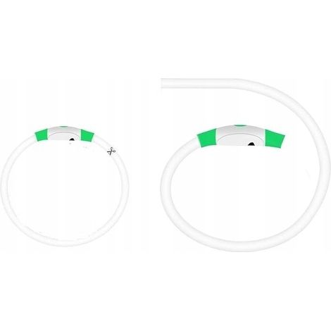 Collier pour chien à LED lumineuse, étanche, réglable jusqu'à 70 cm, vert (1/4)